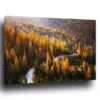 Tableau Forêt Automne