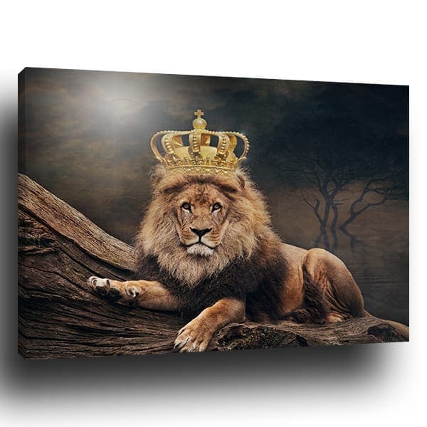 Tableau Lion King