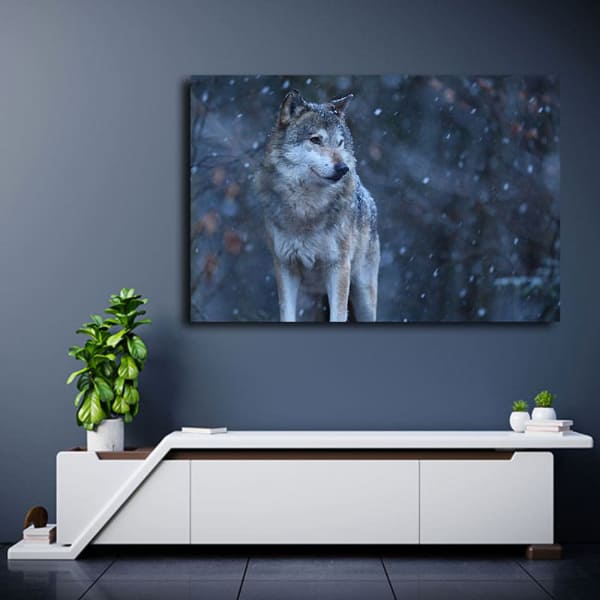 Tableau Loup Photo au mur