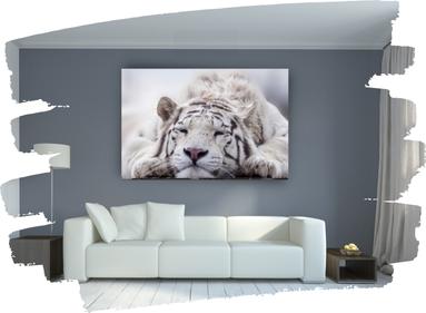 Tableau tigre blanc dans un salon