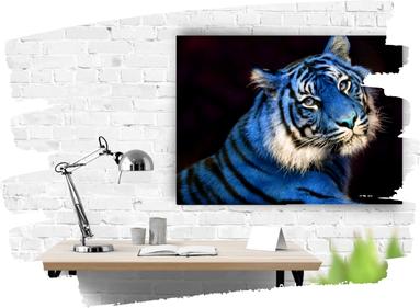 Tableau tigre couleur dans un bureau