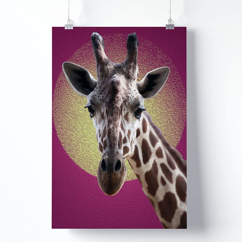 Tableau Girafe Couleur Version Affiche Photo Imprimée