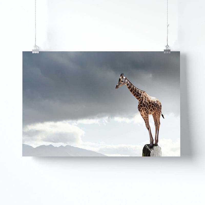 Tableau Girafe Design Version Affiche Photo Imprimée