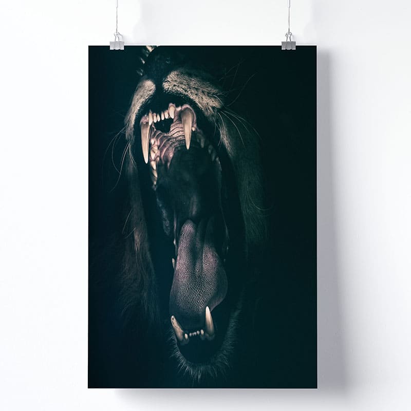 Tableau Lion Noir Version Affiche Photo Imprimée
