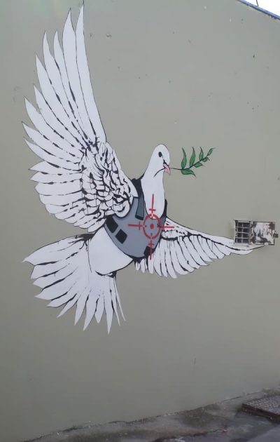 Armoured Dove