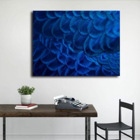 Tableau Bleu Paon au mur