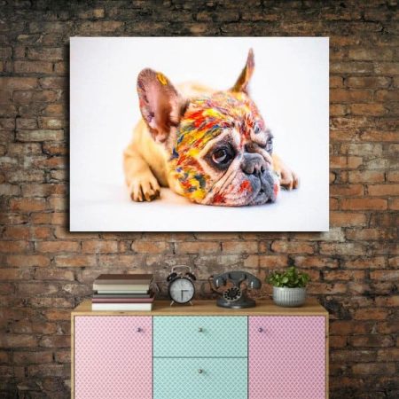 Tableau Chien Multicolore au mur