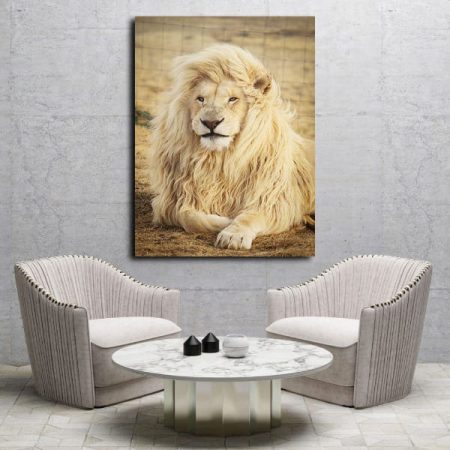 Tableau Lion Blanc au mur