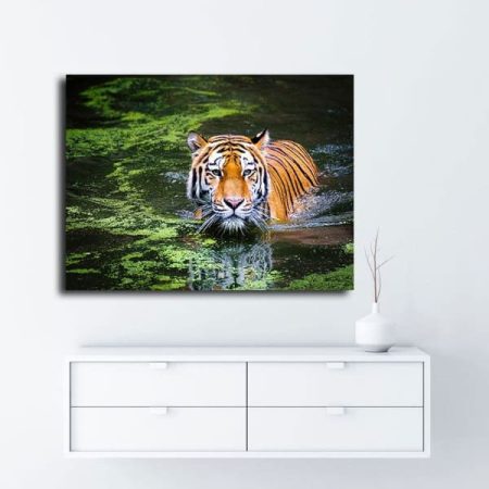 Tableau Tigre Dans L'Eau au mur